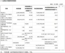 董事长套现9亿劝投资者耐心引争议石头科技盈利