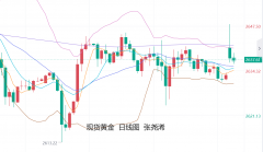 张尧浠：美通胀数据预期升温、金价阻力下方维